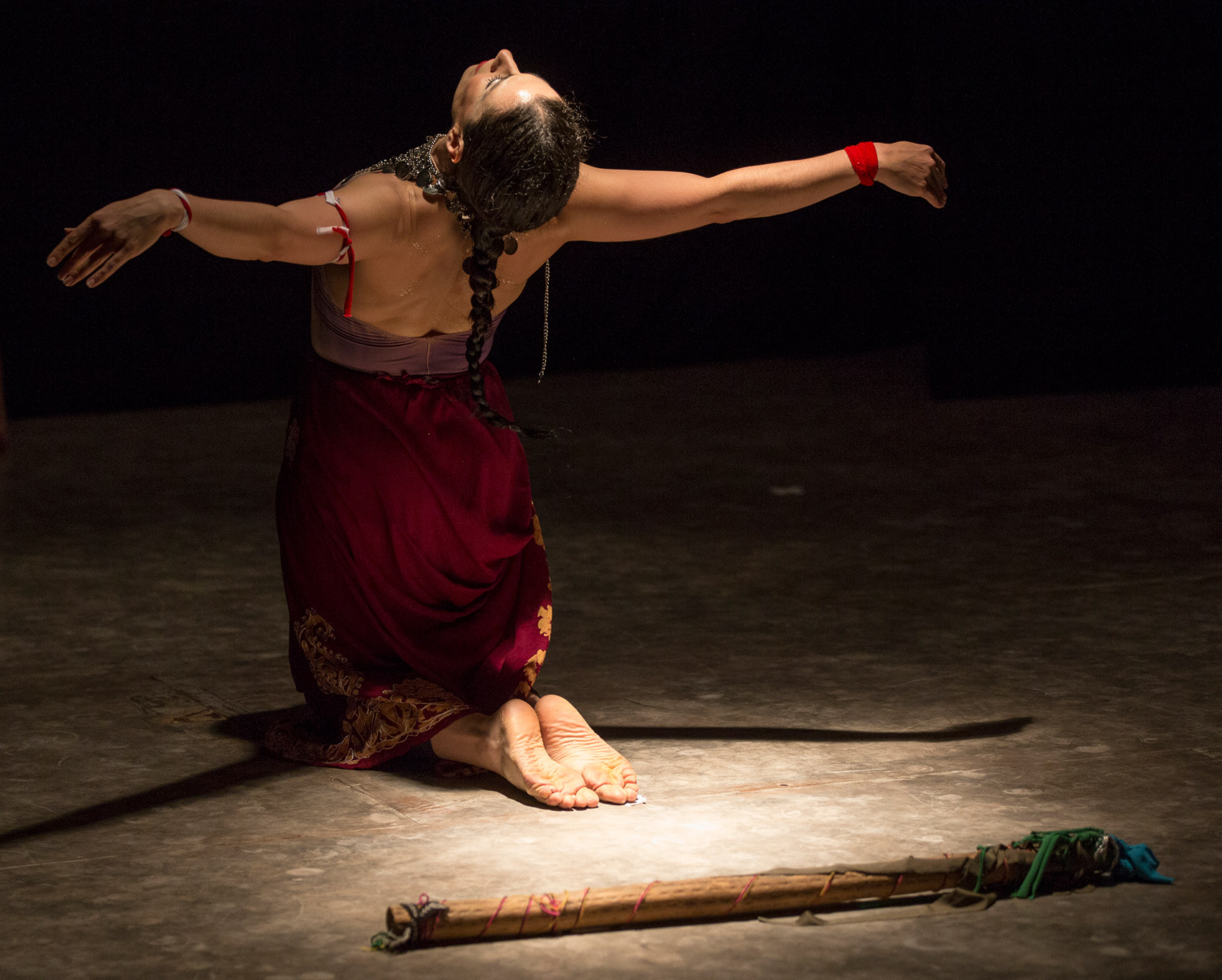 Danza y Vida
